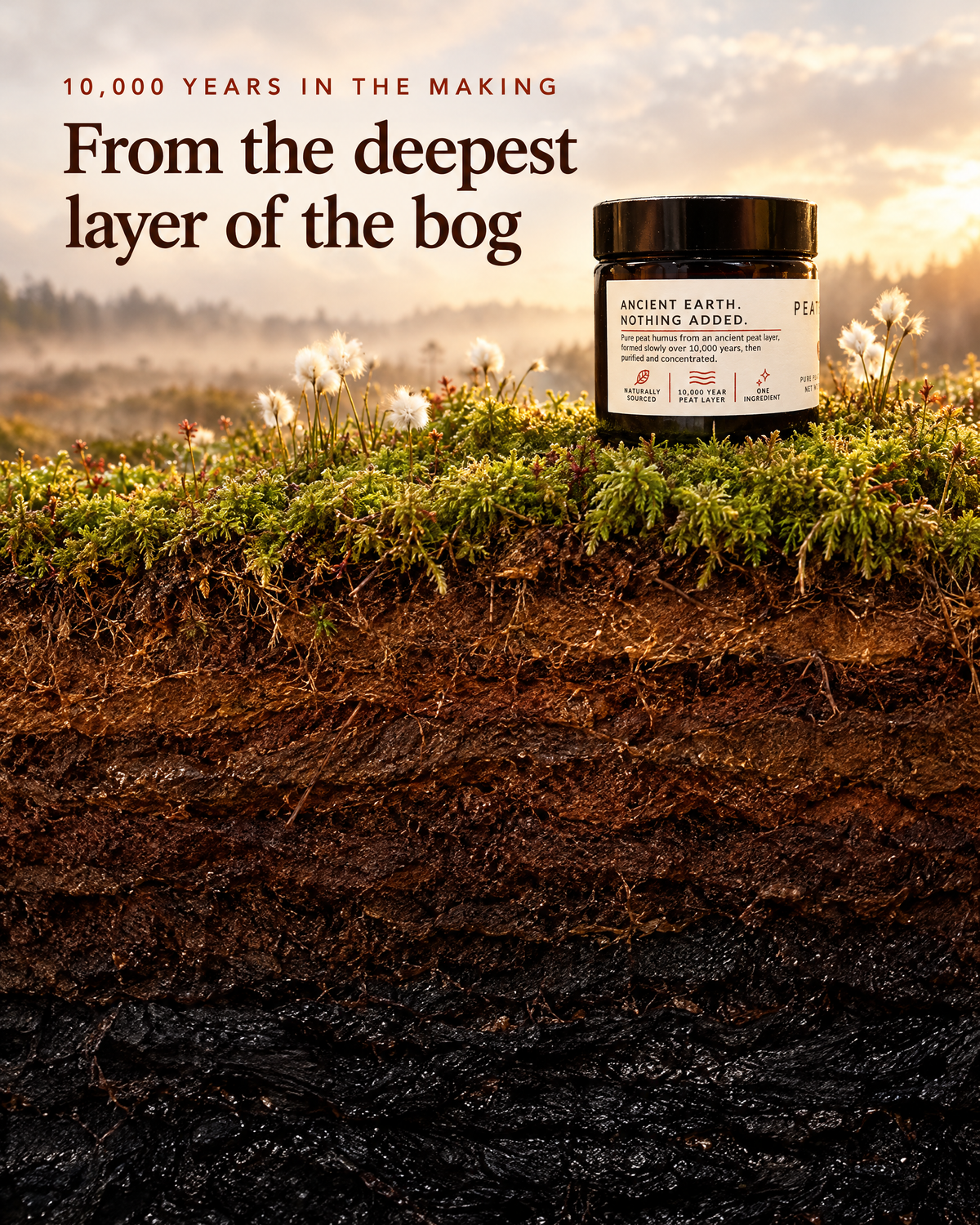 10,000 years in the making: from the deepest layer of the bog